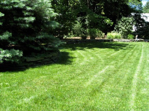 Goshen flatstone dry wall