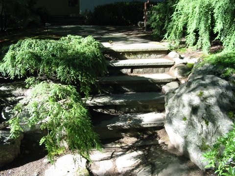 Bluestone stairs on blue stone risers